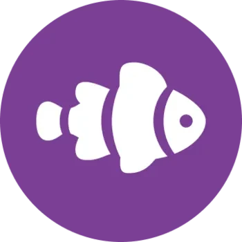 Neemo Finance